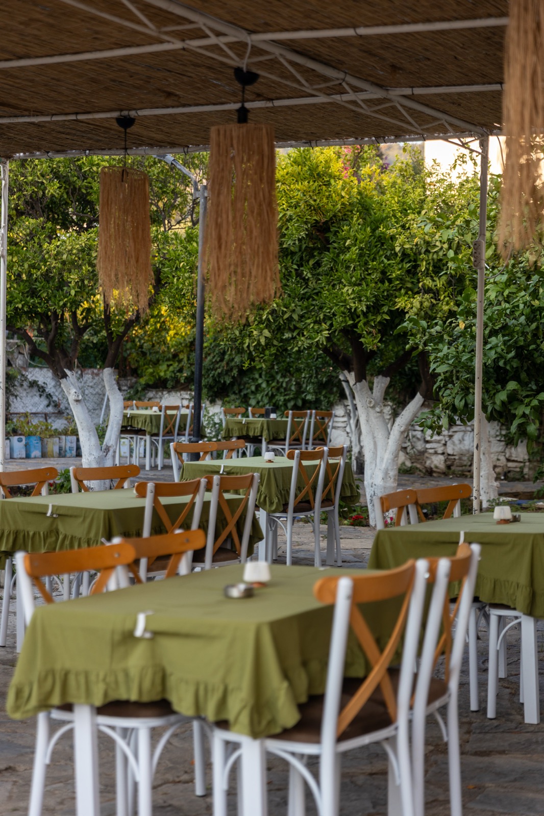 Turunç ağaçları arasında bahçe restoranı