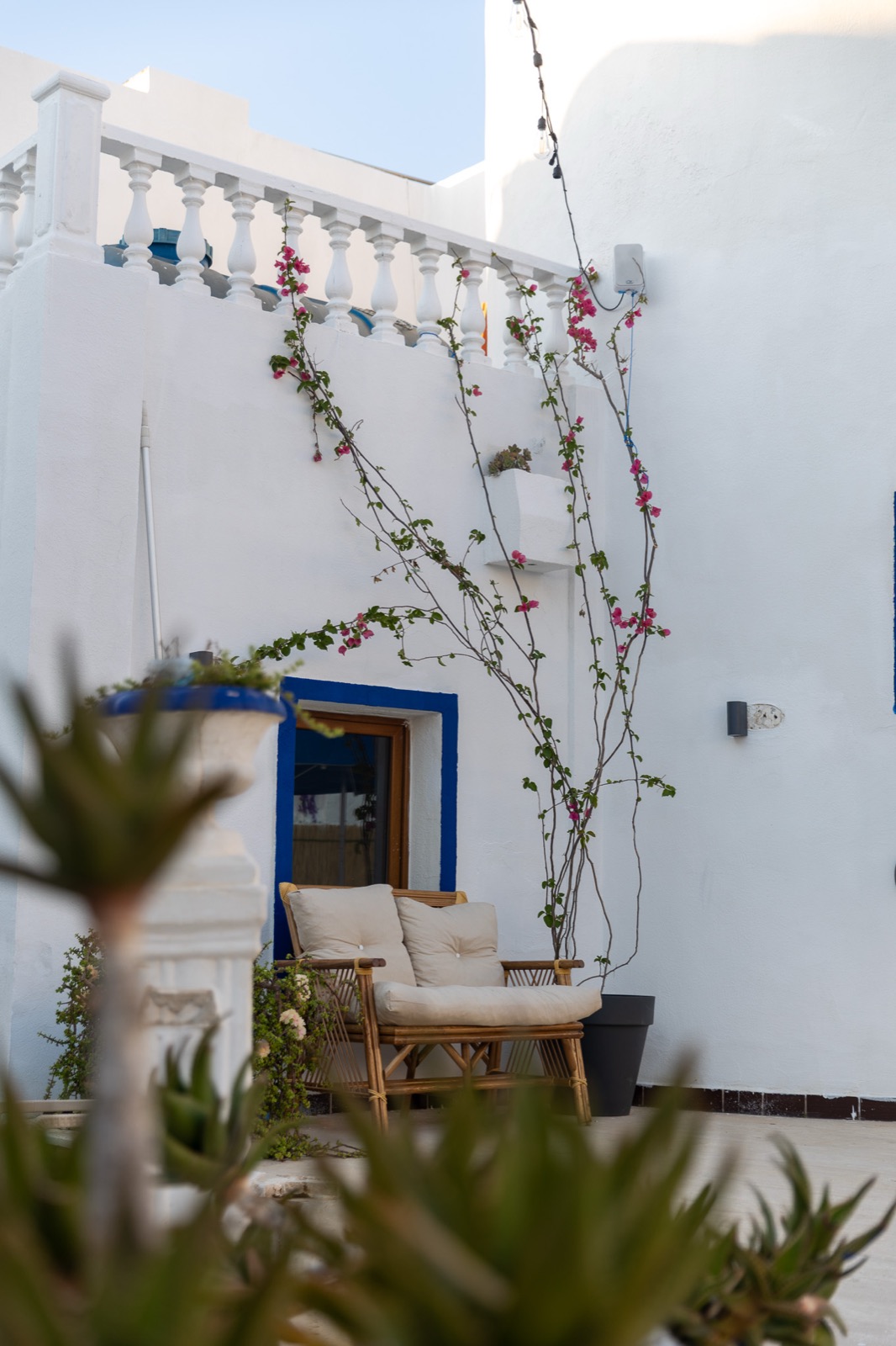 Bougainvillea çiçekleriyle çevrili otel terası